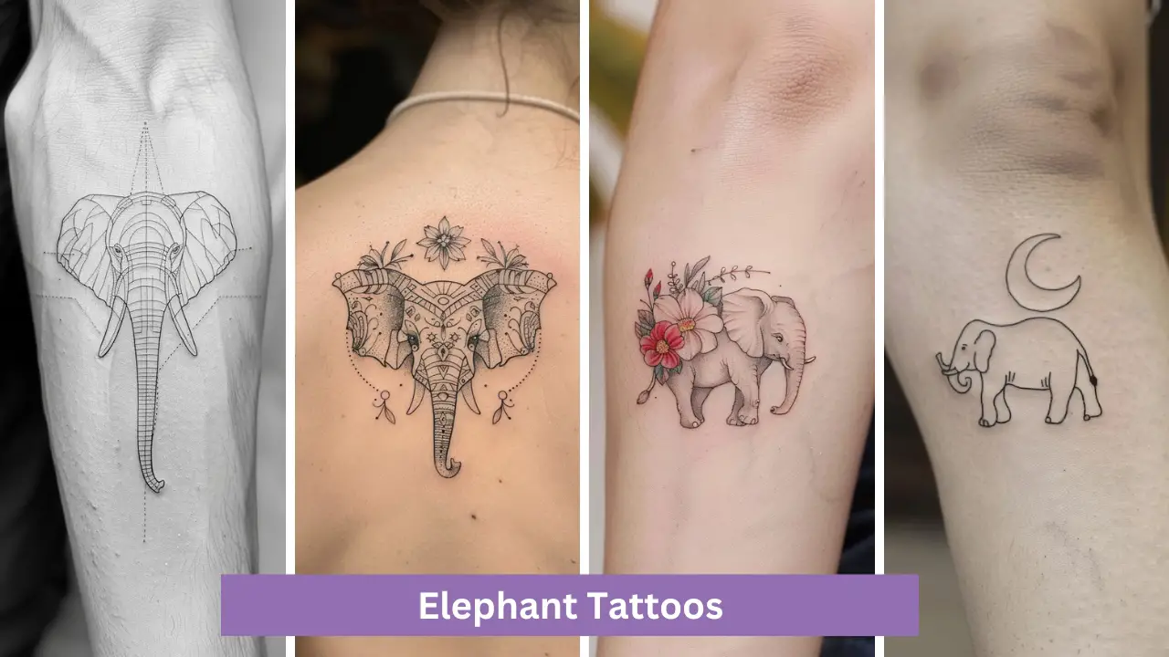 60+ Elephant Tattoos For 2024